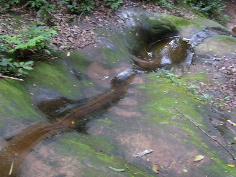 Foto de Rurrenabaque (El Beni), Bolivia
