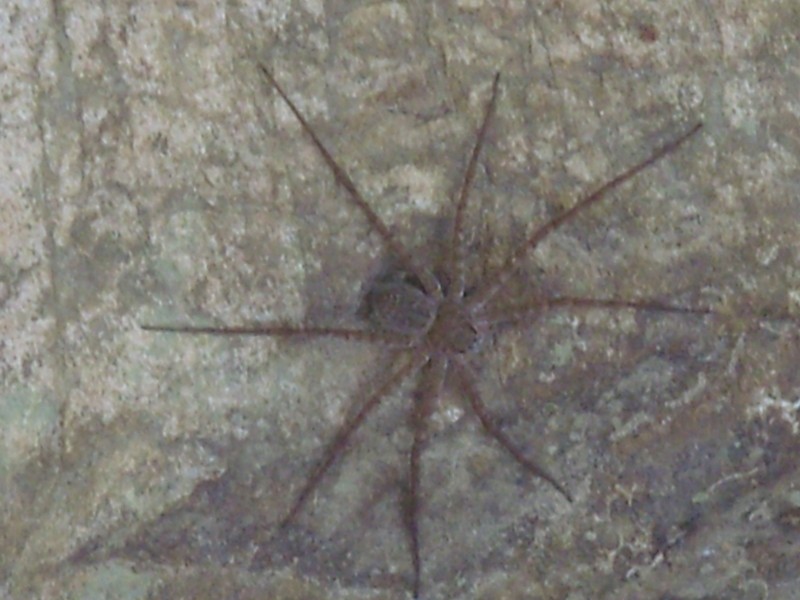 Foto de Tumupasa (La Paz), Bolivia