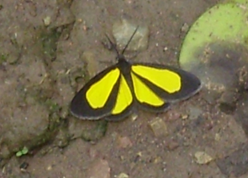 Foto de San Antonio de los Cobres (Salta), Argentina