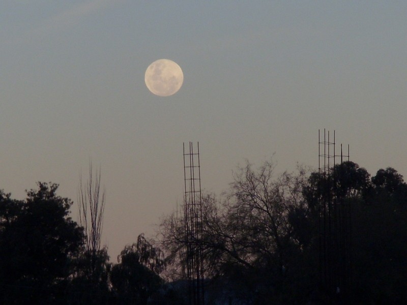 Foto de Jáchal (San Juan), Argentina