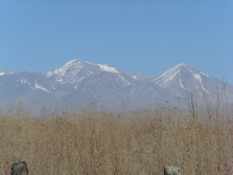 Foto de Calingasta (San Juan), Argentina