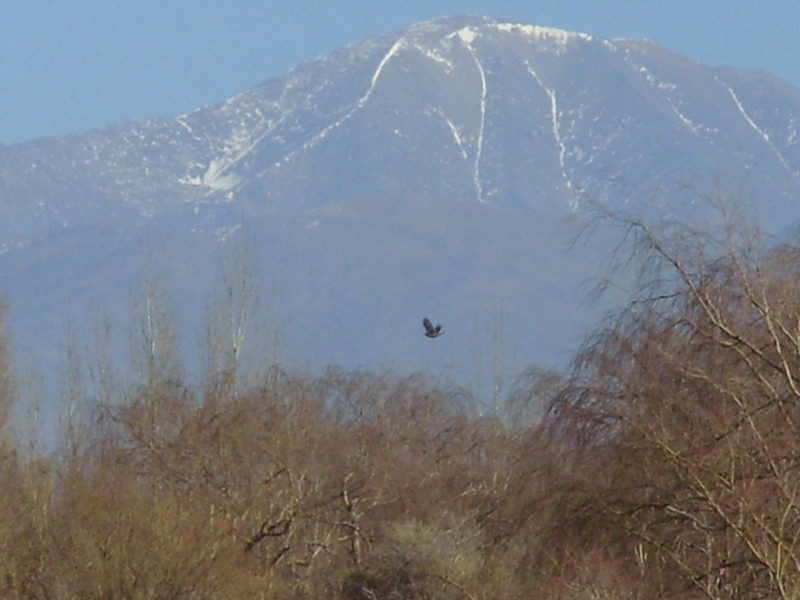 Foto de Rodeo (San Juan), Argentina