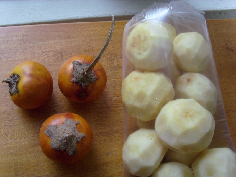 Foto: cocona - Iquitos (Loreto), Perú