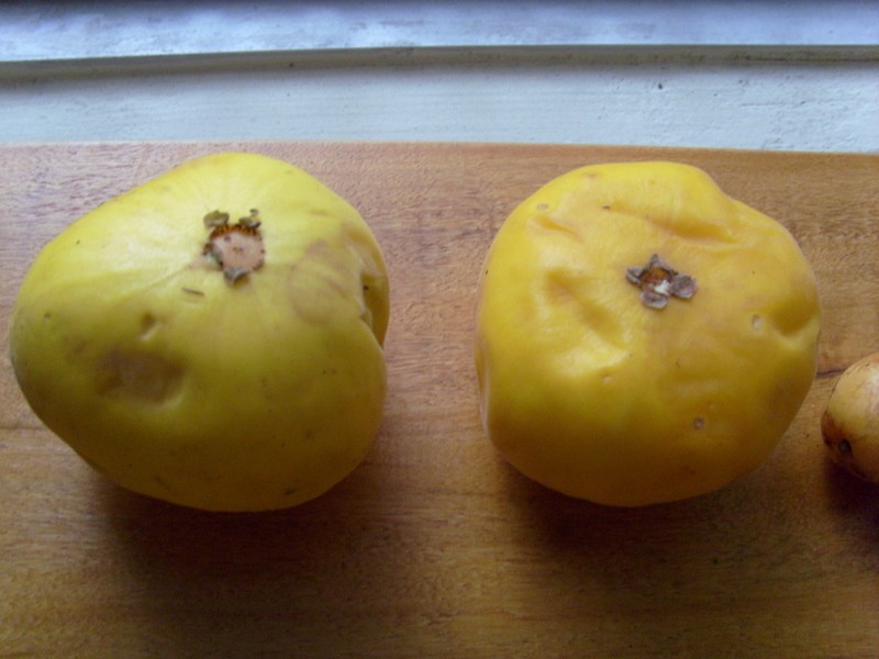 Foto: arazá (guayaba amazónica) - Iquitos (Loreto), Perú