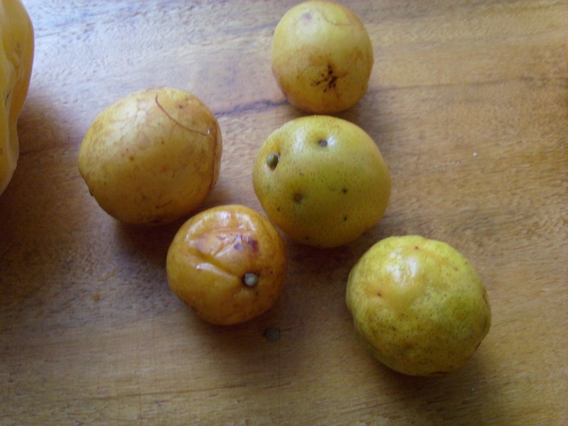 Foto: uvos - Iquitos (Loreto), Perú