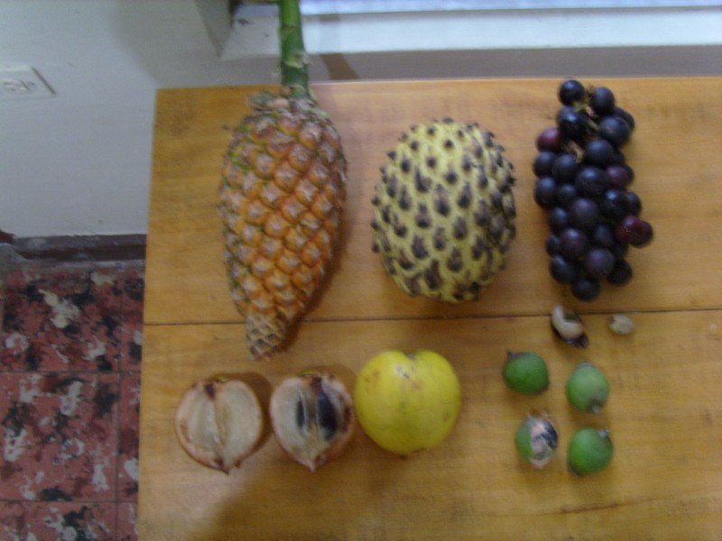 Foto: frutas locales de la Amazonia - Iquitos (Loreto), Perú