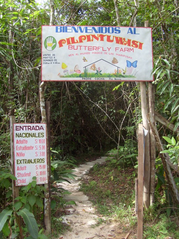 Foto: Mariposario Pilpintuwasi - Padre Cocha (Loreto), Perú
