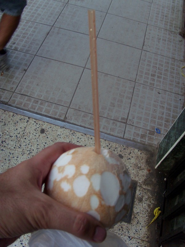 Foto: coco - Iquitos (Loreto), Perú