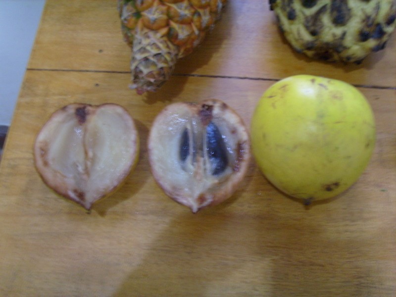 Foto: caimito - Iquitos (Loreto), Perú