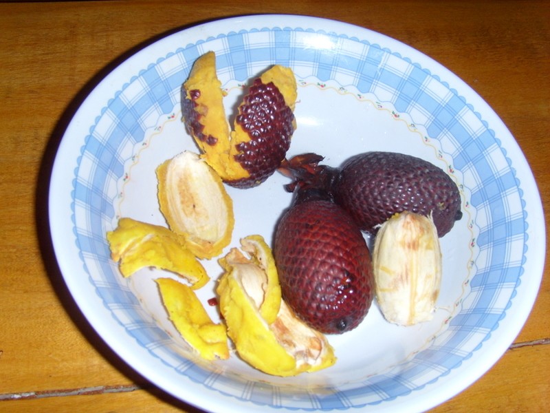 Foto: aguajes y su carozo - Iquitos (Loreto), Perú