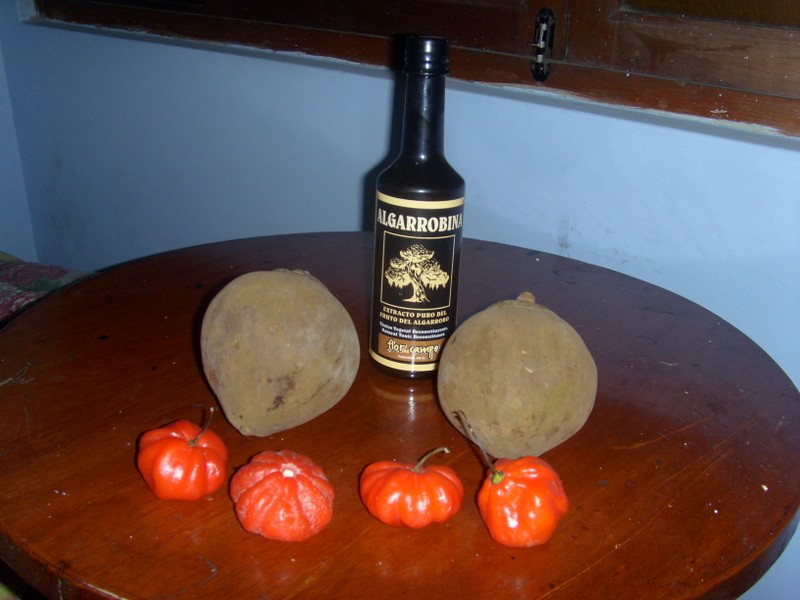 Foto: zapotes, ajíes calahorra y algarrobina (extracto de algarroba) - Iquitos (Loreto), Perú