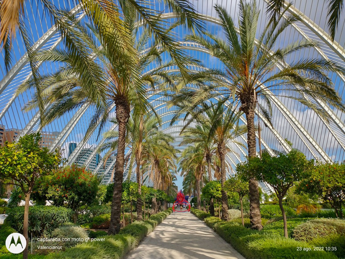 Foto: El umbráculo - València (Comunidad Valenciana), España