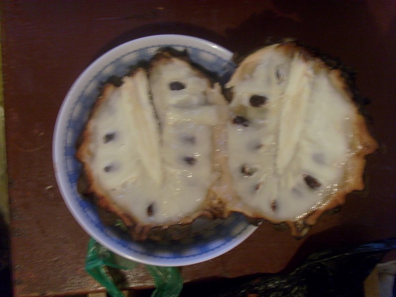 Foto: anón - Leticia (Amazonas), Colombia