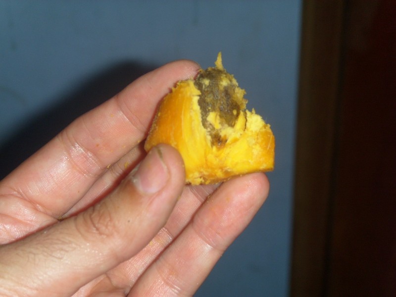 Foto: chontaduro - Tabatinga (Amazonas), Brasil