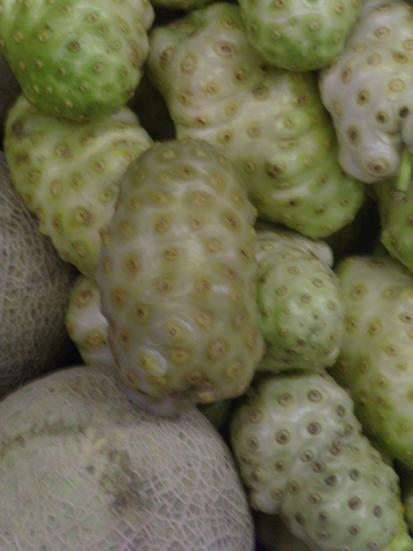 Foto: noni - Manaus (Amazonas), Brasil