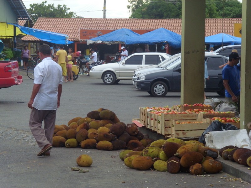 Foto: jacas - Boa Vista (Roraima), Brasil