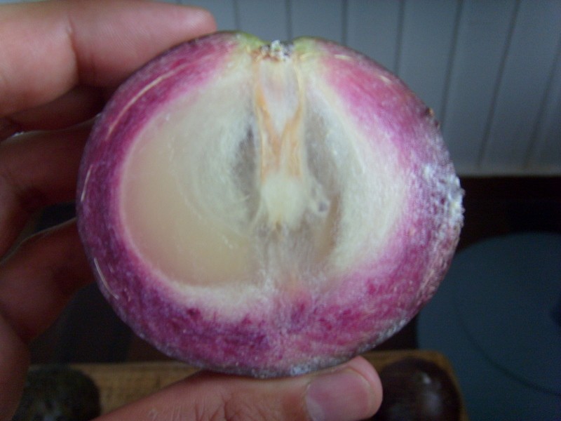 Foto: caimito - Georgetown, Guyana