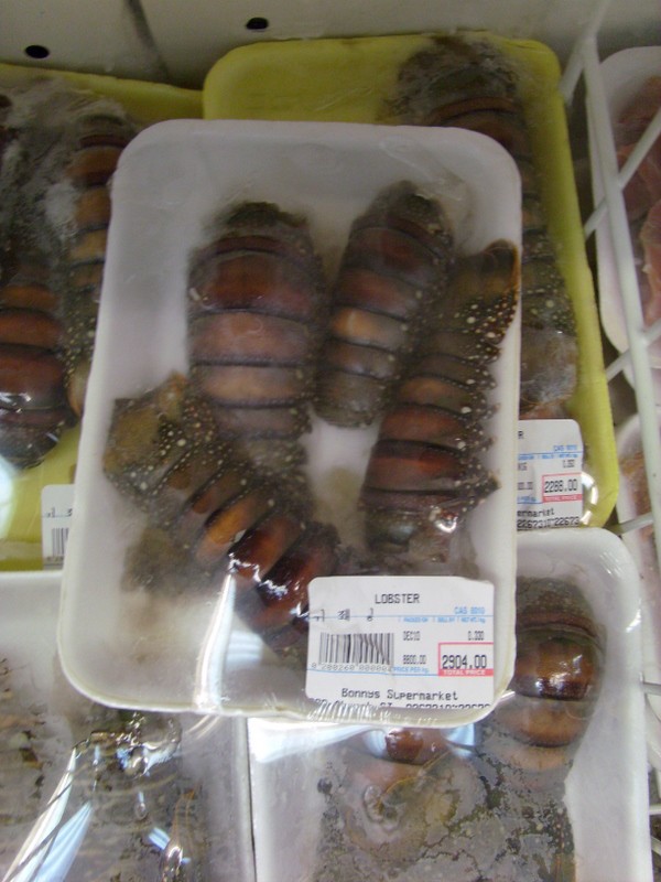 Foto: langostas - Georgetown, Guyana