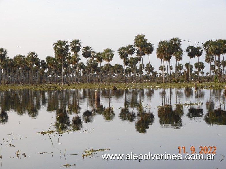 Foto: Bañado La Estrella - Formosa - Bañado La Estrella (Formosa), Argentina