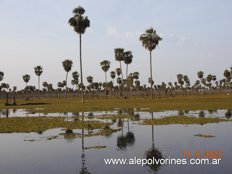 Foto: Bañado La Estrella - Formosa - Bañado La Estrella (Formosa), Argentina