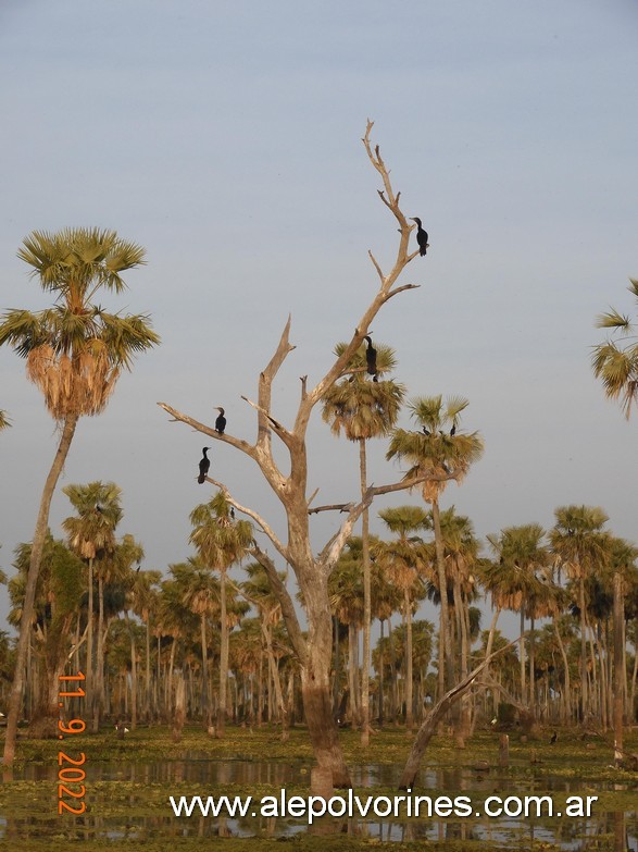Foto: Bañado La Estrella - Formosa - Bañado La Estrella (Formosa), Argentina