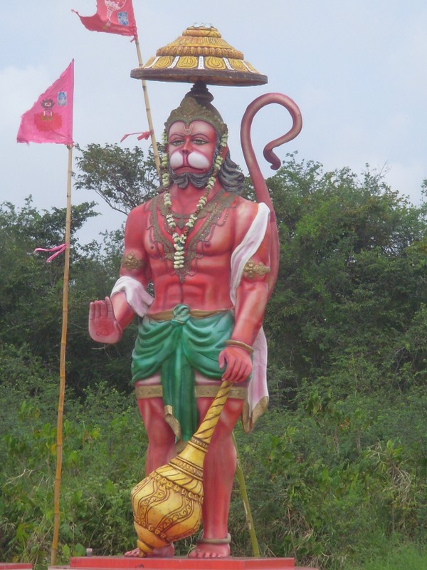 Foto: Hanumān - Meerzorg, Surinam