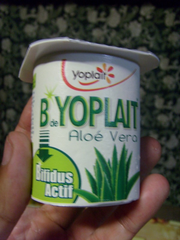 Foto: yogur con aloe vera - Saint-Laurent-du-Maroni, Guyana Francesa