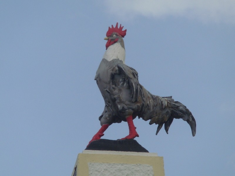 Foto de Cayena, Guyana Francesa