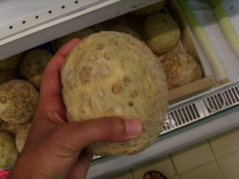 Foto: apio nabo / apirrábano - Montjoly, Guyana Francesa