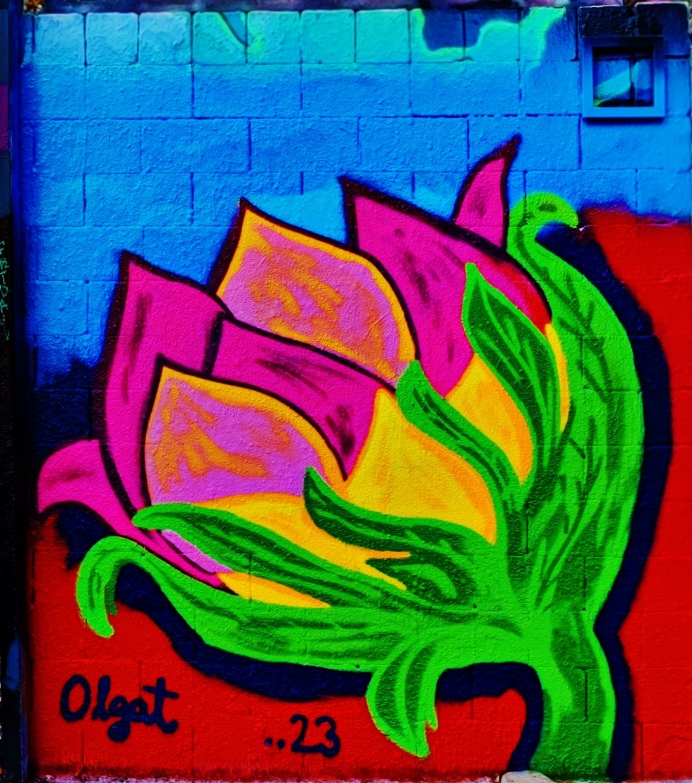 Foto: Grafitti Urbano - Barcelona (Cataluña), España