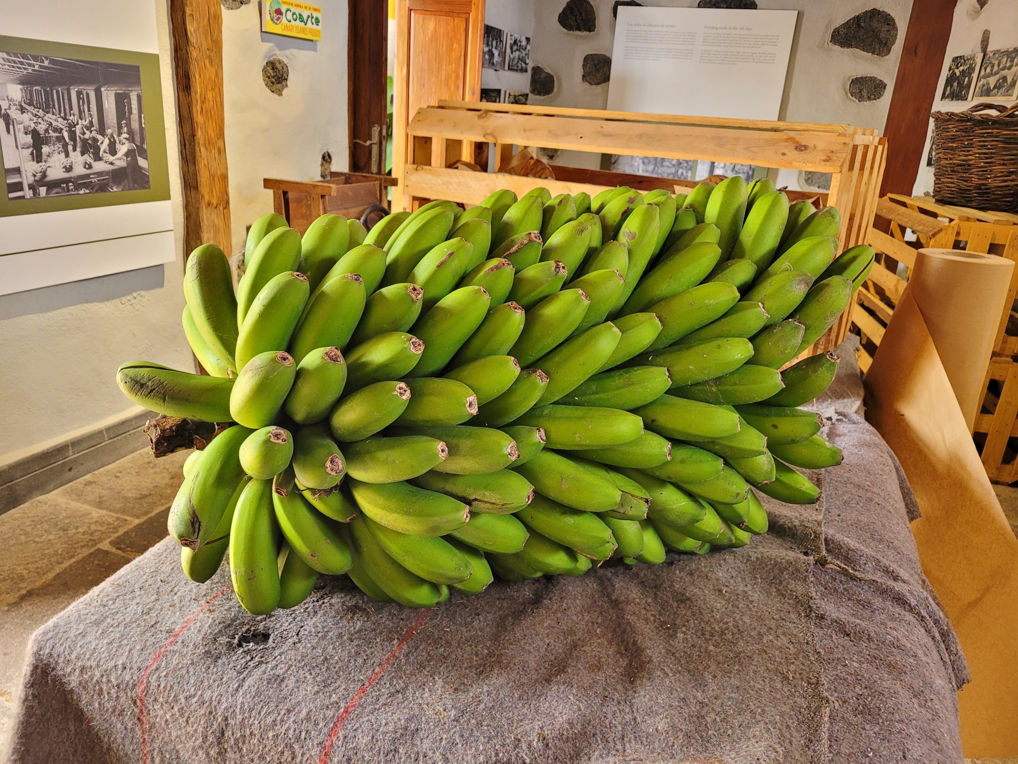 Foto: Casa del plátano - Icod de los Vinos (Santa Cruz de Tenerife), España