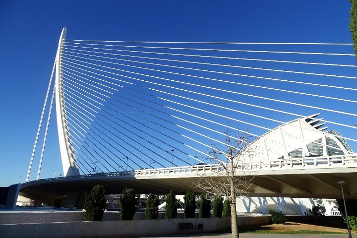 Foto: Puente de la Ciudad de las Ciencias - Valencia (València), España