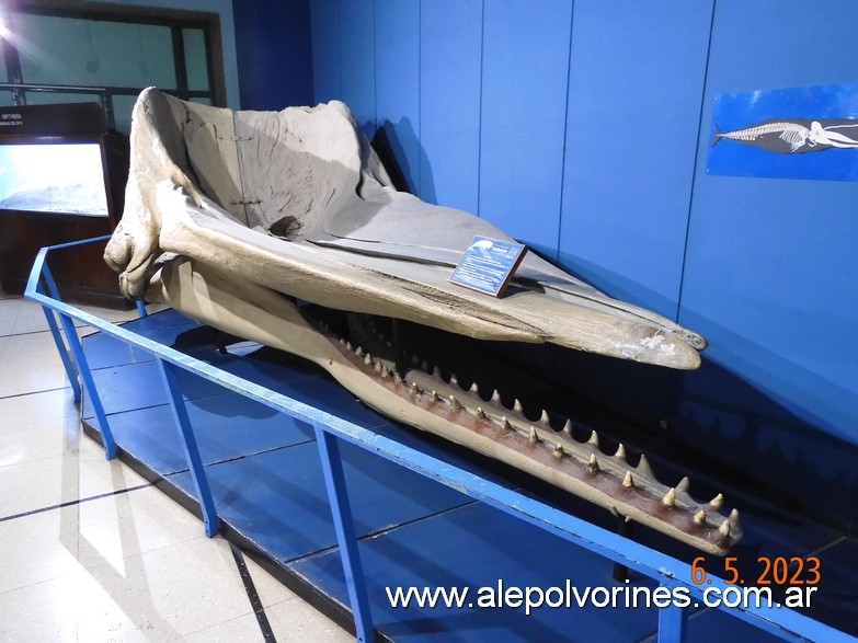 Foto: Caballito CABA - Museo Ciencias Naturales Bernardino Rivadavia - Caballito (Buenos Aires), Argentina