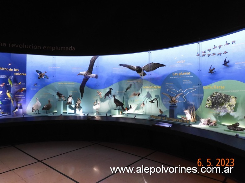 Foto: Caballito CABA - Museo Ciencias Naturales Bernardino Rivadavia - Caballito (Buenos Aires), Argentina