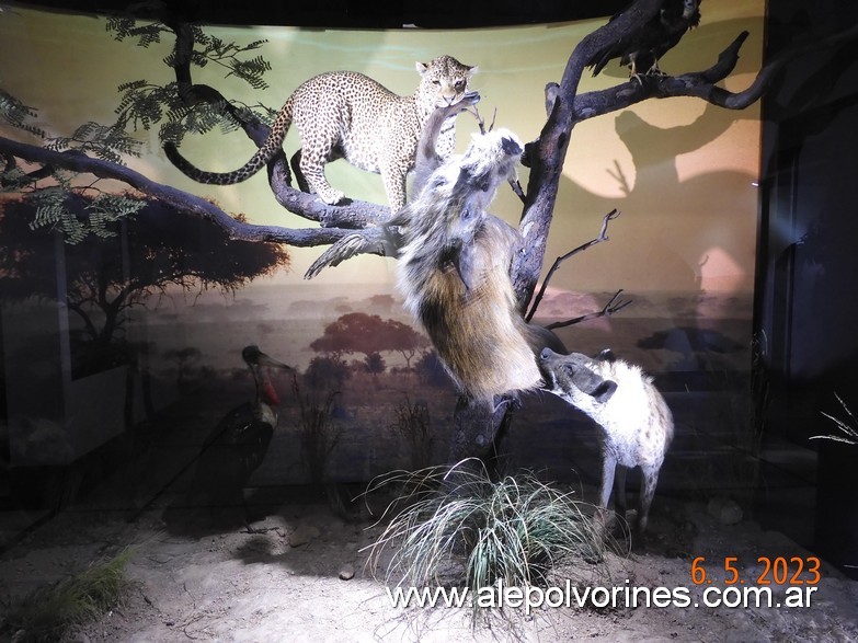 Foto: Caballito CABA - Museo Ciencias Naturales Bernardino Rivadavia - Caballito (Buenos Aires), Argentina