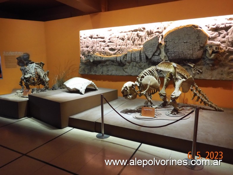 Foto: Caballito CABA - Museo Ciencias Naturales Bernardino Rivadavia - Caballito (Buenos Aires), Argentina