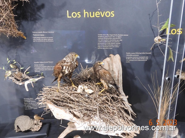 Foto: Caballito CABA - Museo Ciencias Naturales Bernardino Rivadavia - Caballito (Buenos Aires), Argentina