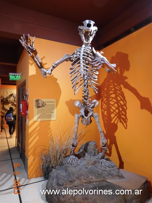 Foto: Caballito CABA - Museo Ciencias Naturales Bernardino Rivadavia - Caballito (Buenos Aires), Argentina