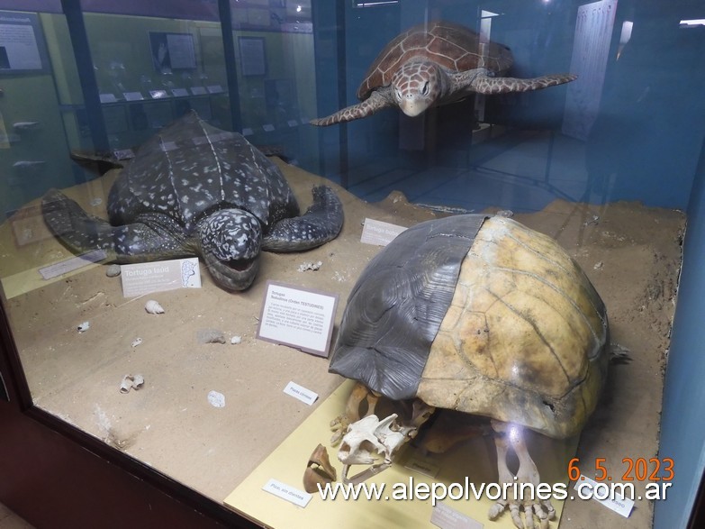 Foto: Caballito CABA - Museo Ciencias Naturales Bernardino Rivadavia - Caballito (Buenos Aires), Argentina
