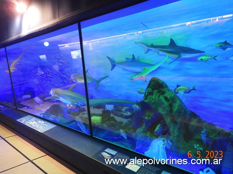 Foto: Caballito CABA - Museo Ciencias Naturales Bernardino Rivadavia - Caballito (Buenos Aires), Argentina