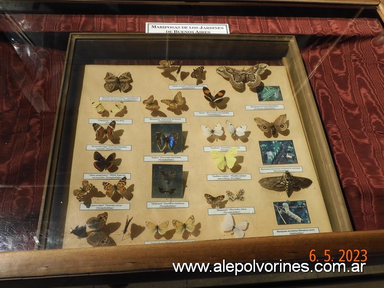 Foto: Caballito CABA - Museo Ciencias Naturales Bernardino Rivadavia - Caballito (Buenos Aires), Argentina