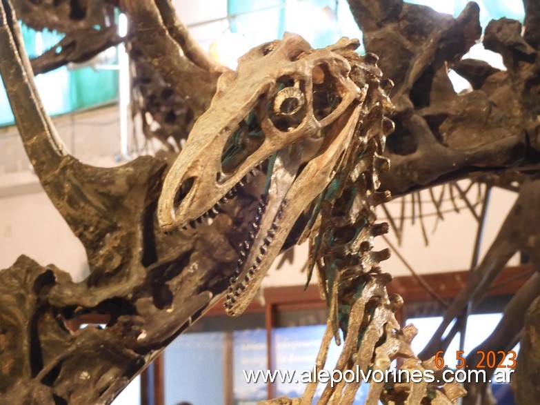 Foto: Caballito CABA - Museo Ciencias Naturales Bernardino Rivadavia - Caballito (Buenos Aires), Argentina