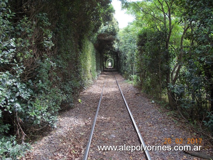 Foto: Estación Km 465 FCCyR - Sastre (Santa Fe), Argentina