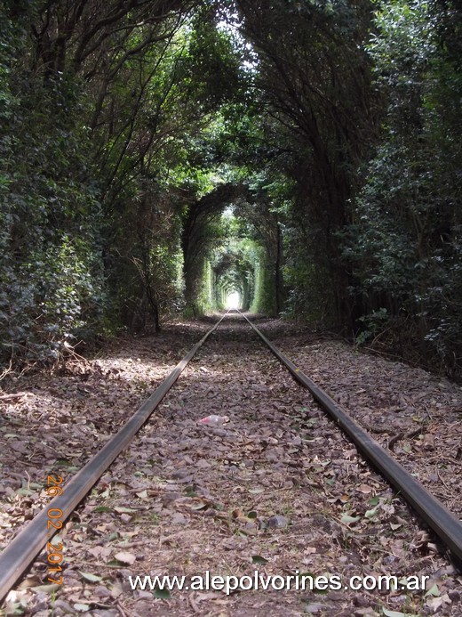 Foto: Estación Km 465 FCCyR - Sastre (Santa Fe), Argentina