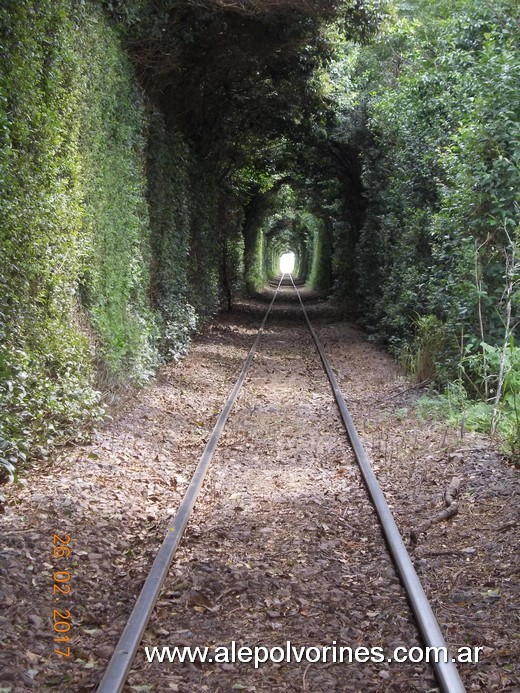 Foto: Estación Km 465 FCCyR - Sastre (Santa Fe), Argentina