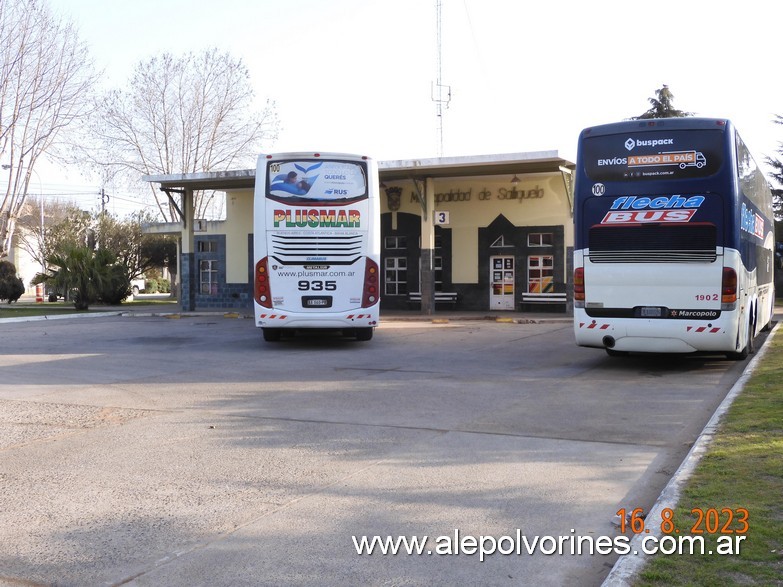 Foto: Saliquello - Terminal de Omnibus - Salliquelo (Buenos Aires), Argentina