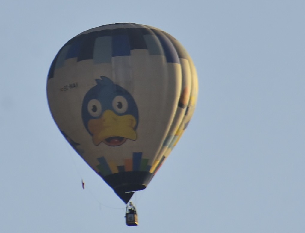 Foto: Concurso de globos 2023 - Igualada (Barcelona), España