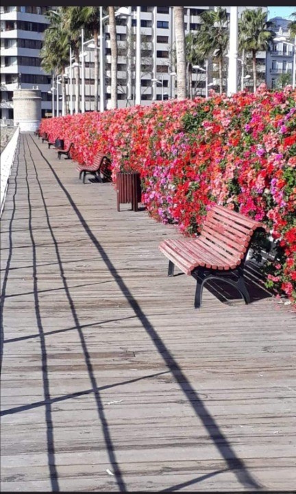 Foto: Puente de las flores - Valencia (València), España