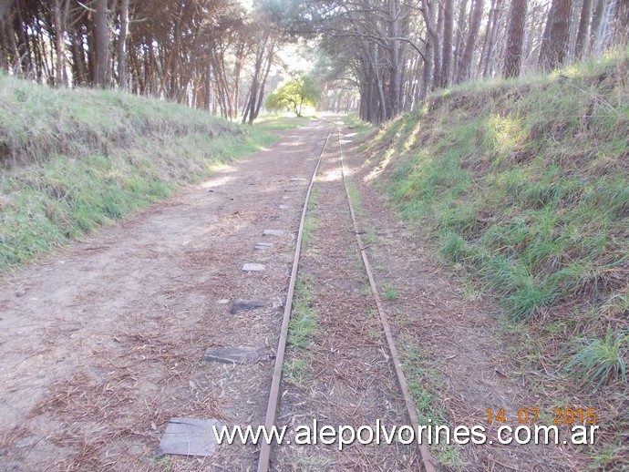 Foto: Necochea - Trencito del Parque Miguel Lillo - Necochea (Buenos Aires), Argentina