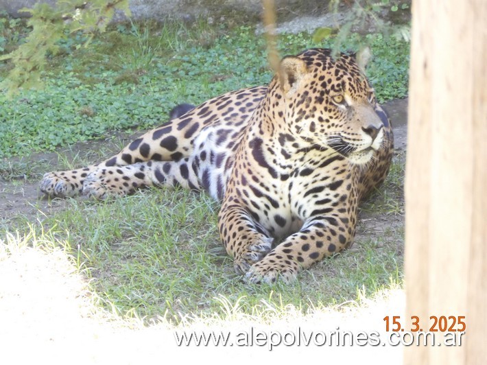 Foto: Escobar - Bioparque Temaiken - Escobar (Buenos Aires), Argentina